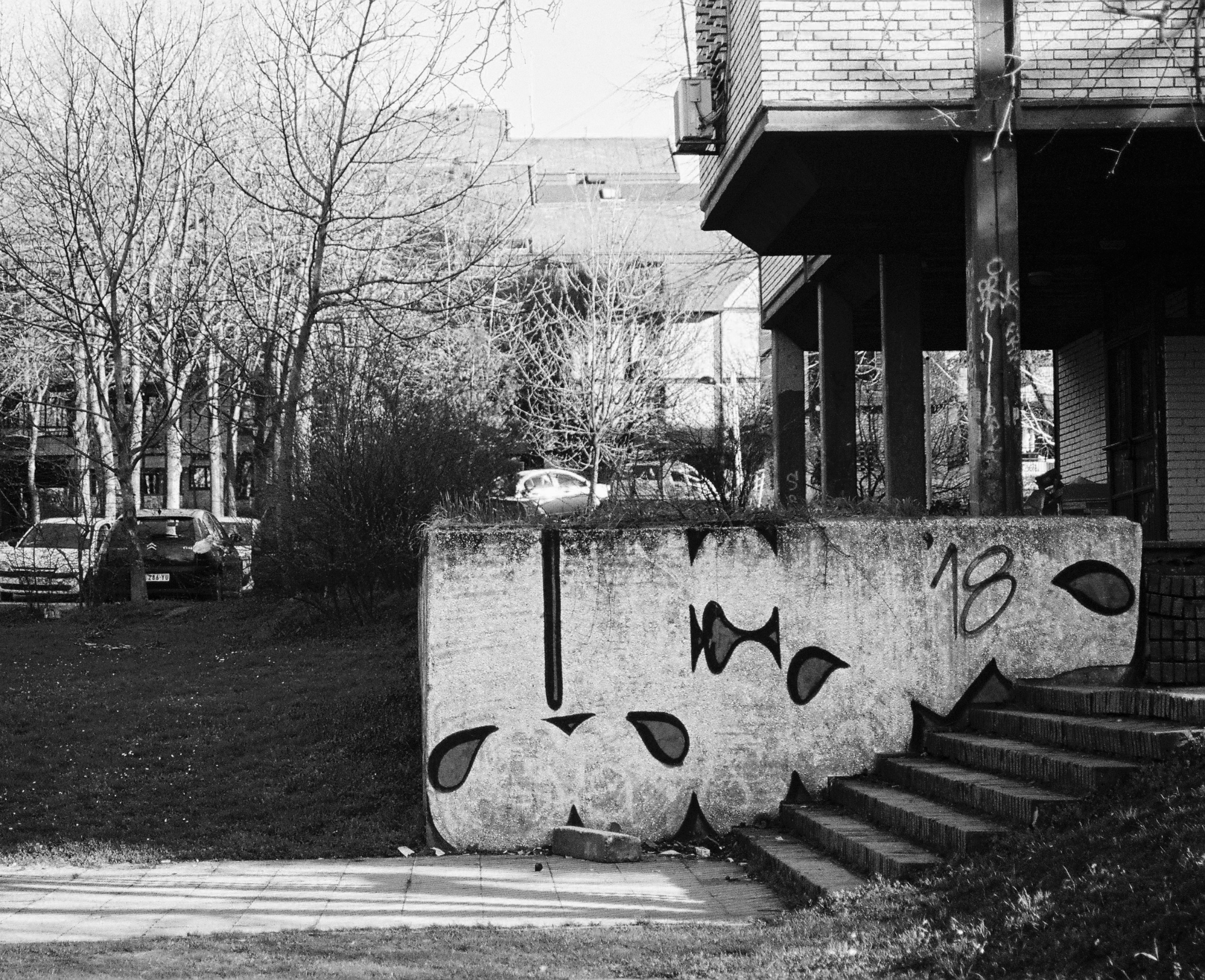 Black and white Belgrade street photograph with graffiti, trees and concrete steps